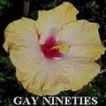Gay_Nineties.jpg